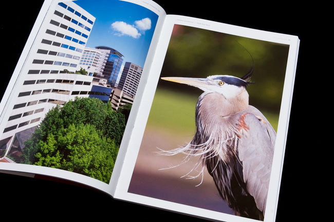 Portland - the view from here