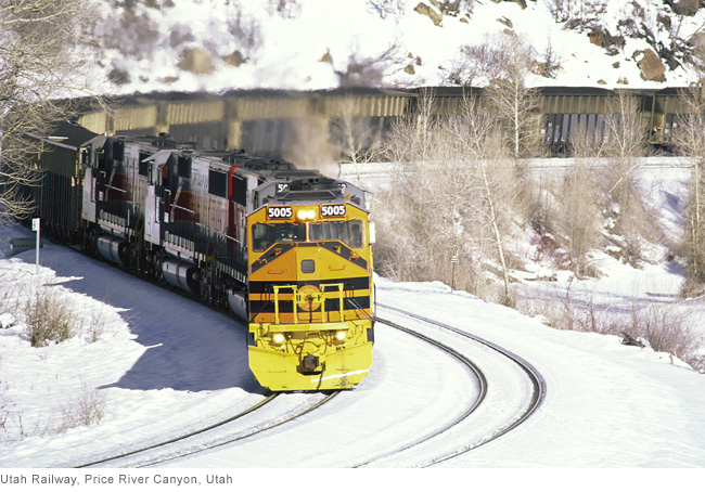 Genesee & Wyoming Inc